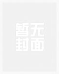 沈浩小说主角